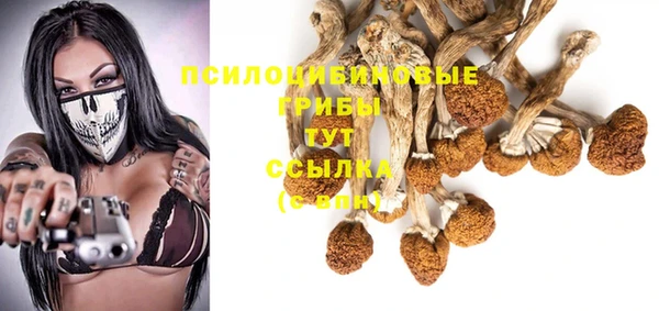 прущая мука Армянск